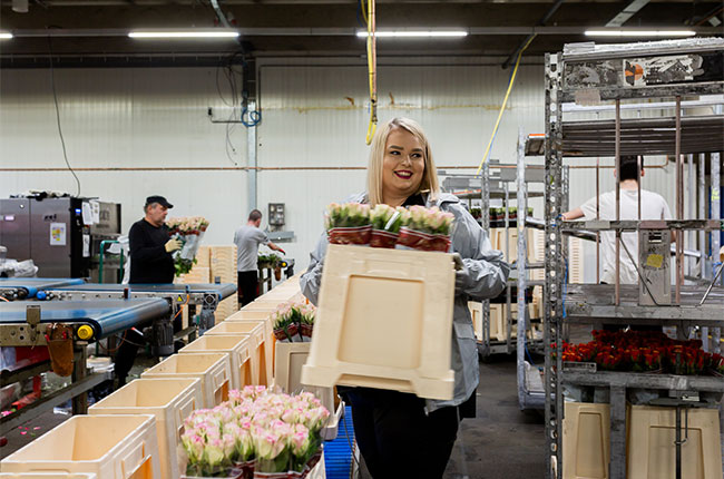 Vrouwelijke productiemedewerker met bak met bloemen.